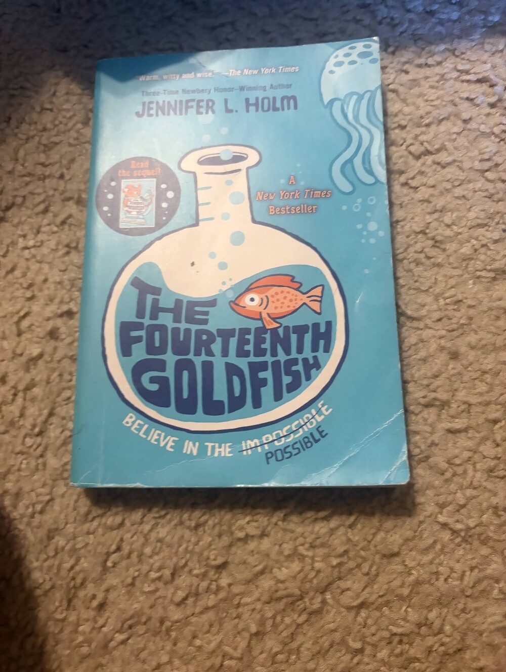 The Fourteenth Goldfish by - Jennifer Holm